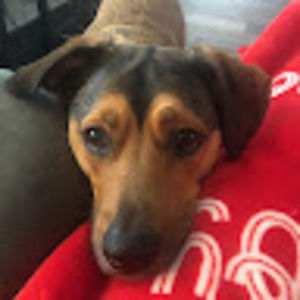 Meet your Posher, Brandice